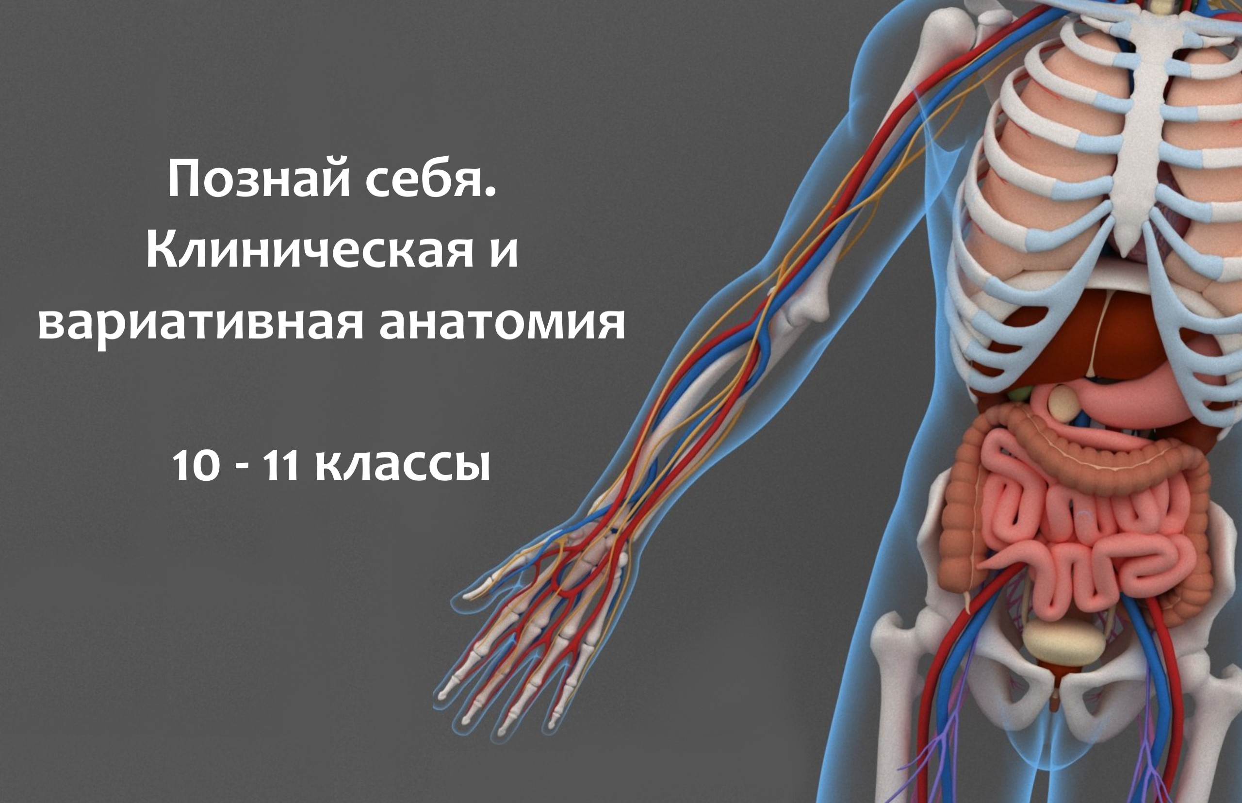 Познай себя. Клиническая и вариативная анатомия Познай себя. Клиническая и вариативная анатомия